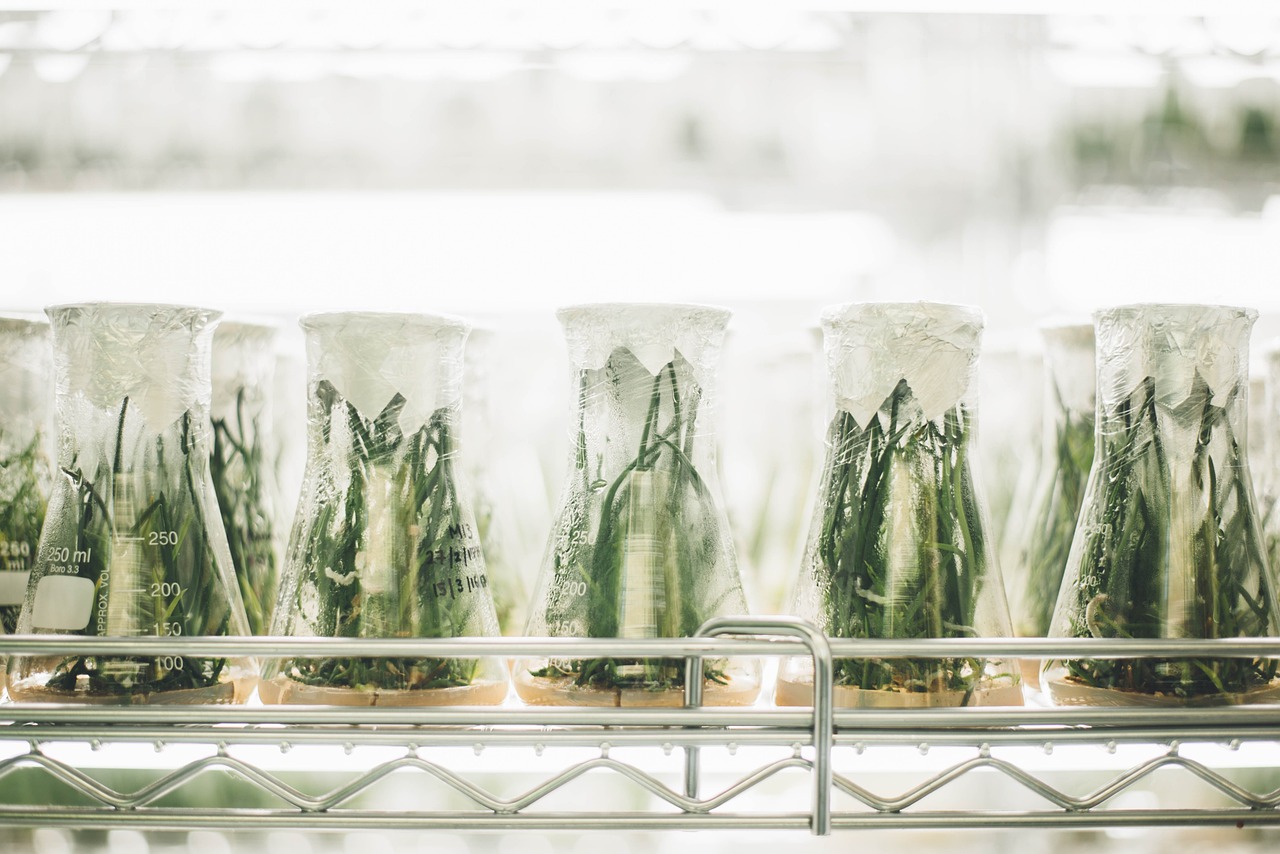 Future Trends in Personalized Medicine - Tailoring Treatments